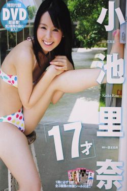 新上门女婿